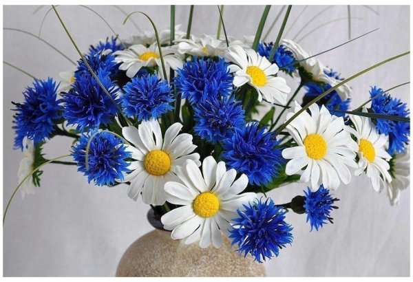 ромашка василек