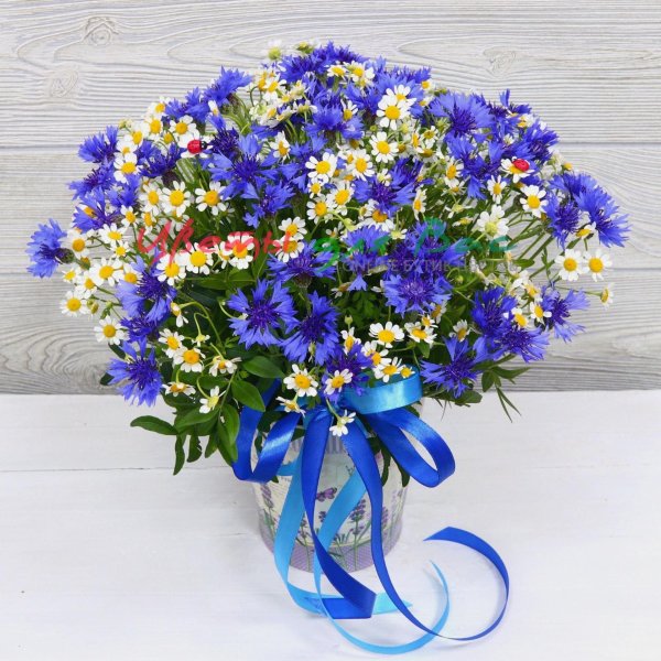 букетик васильков