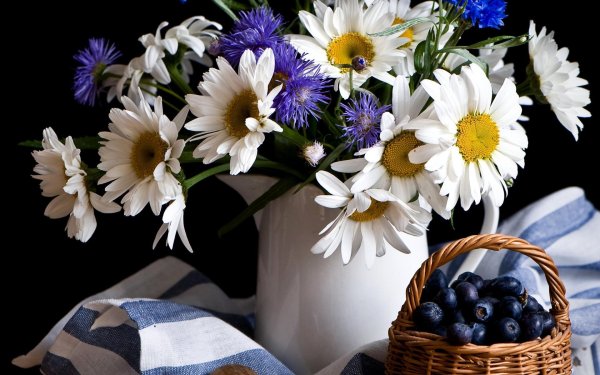 натюрморт с ромашками