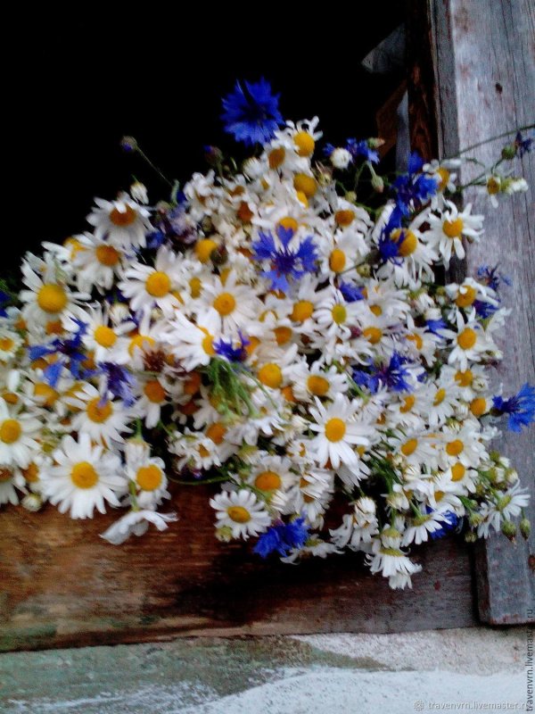 букет полевых цветов