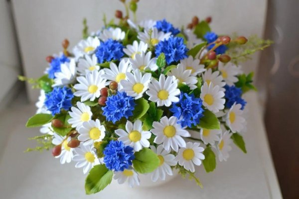 цветы ромашки васильки незабудки