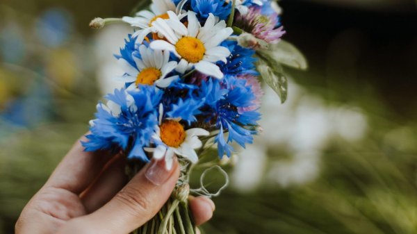 букет полевой