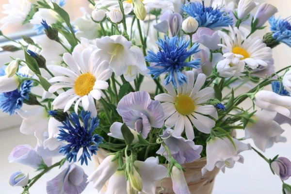 букет полевых цветов