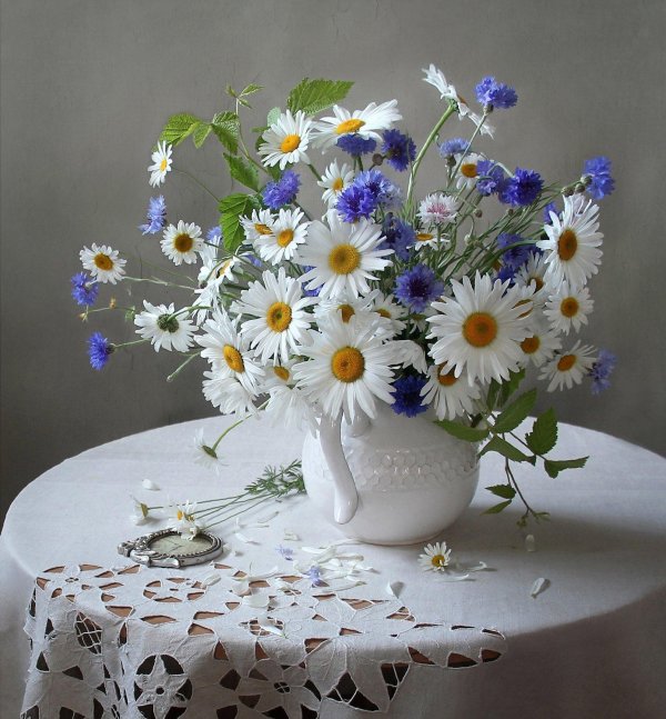 марина филатова фотонатюрморты маслом