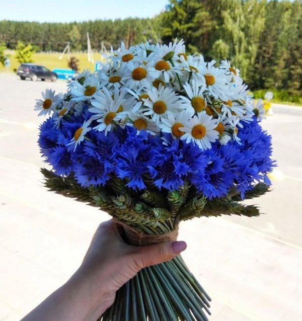 букет из васильков