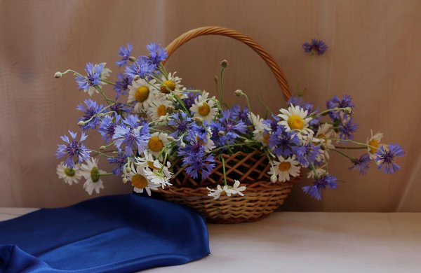 букет полевой