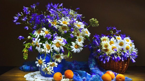 открытка с полевыми цветами