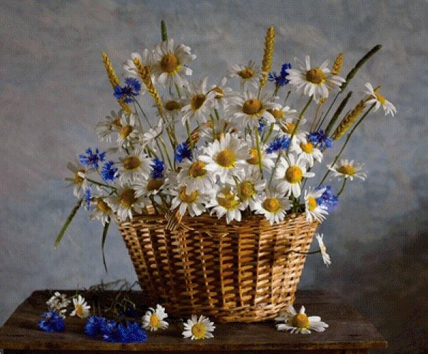 полевые цветы в корзинке