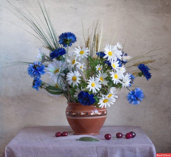 натюрморт с полевыми цветами