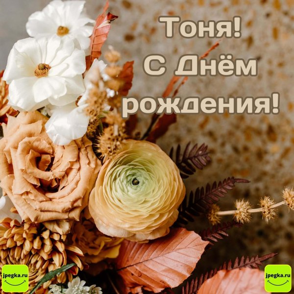 с днем рождения тоня