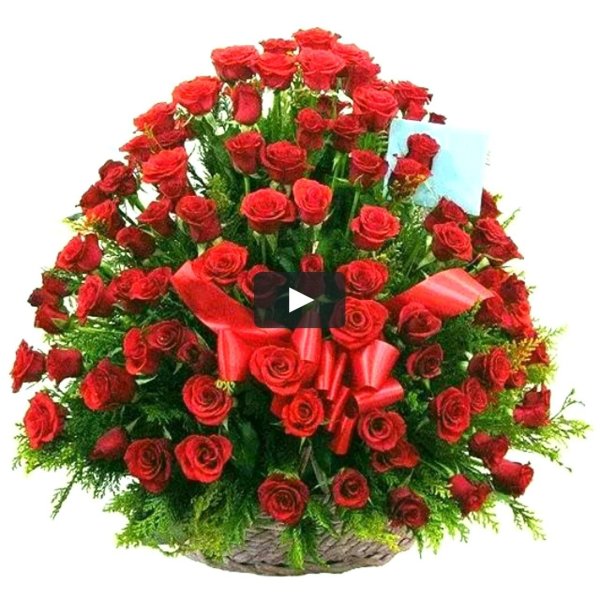 красные розы в корзине