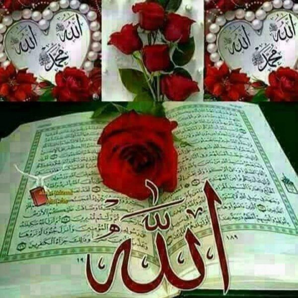 мархнаш къобал дойла