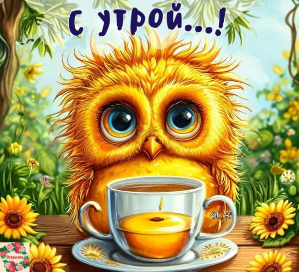 доброе утро хорошего дня прикольные интересные