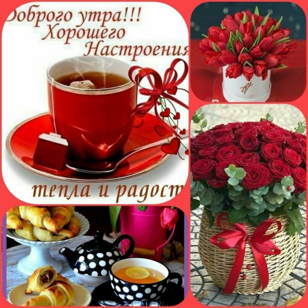 доброе утро и хорошего дня и прекрасного настроения