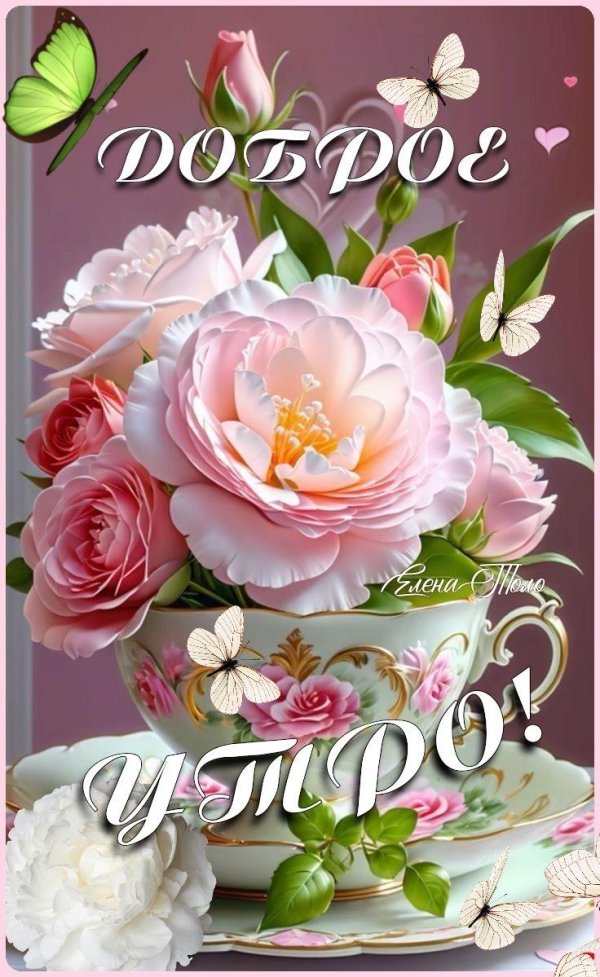 доброе утро цветочное