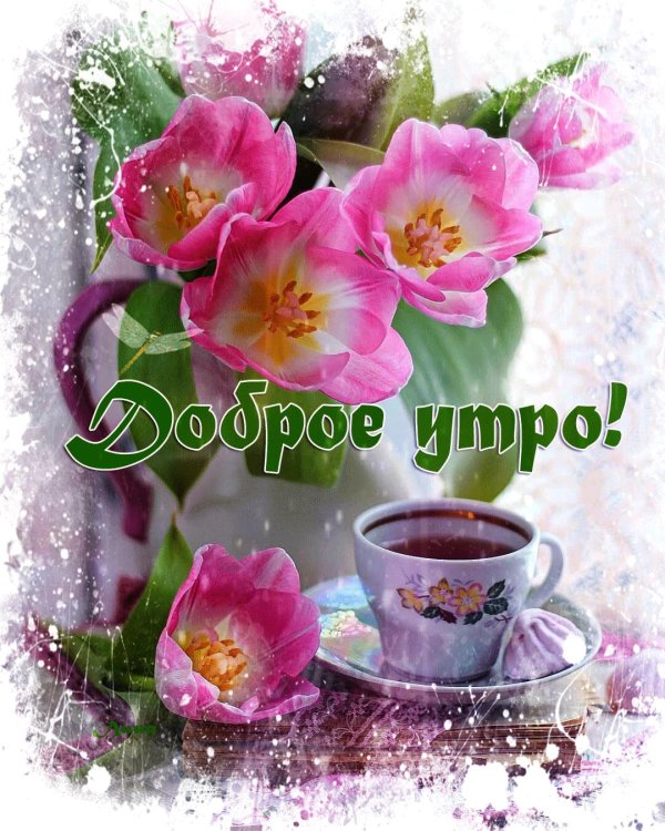 прекрасного утра