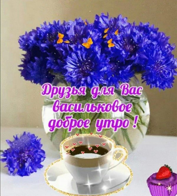 открытка васильки