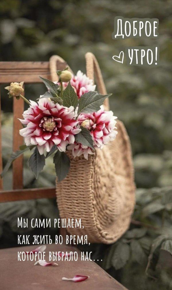 добра утра