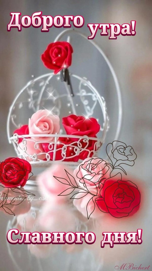 открытки с добрым днём