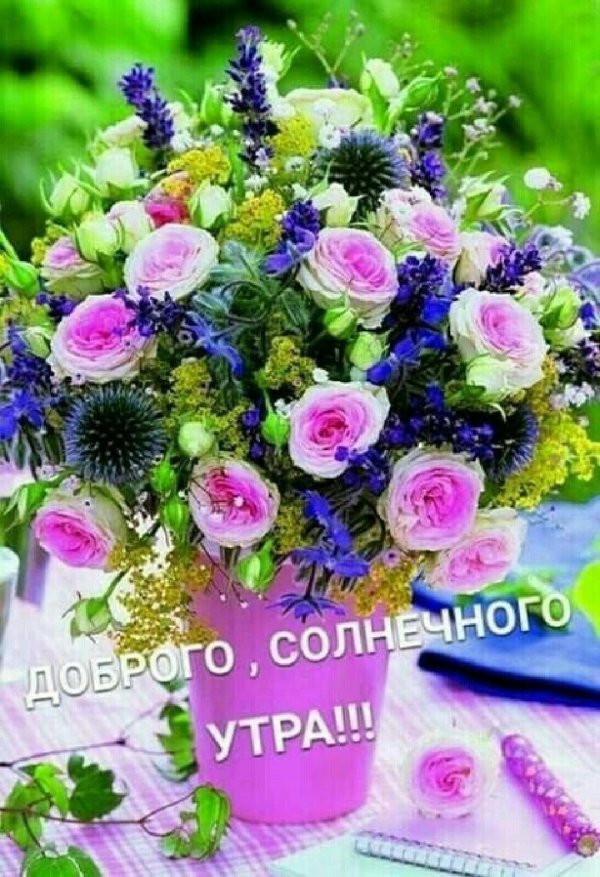 доброго утра цветы