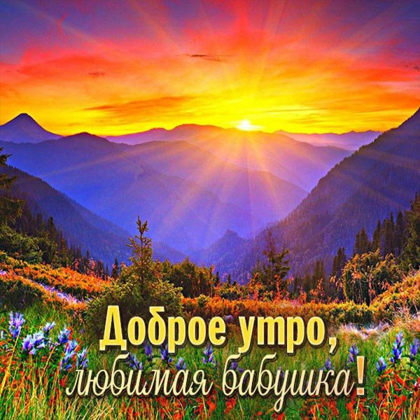 доброе утро бабушка