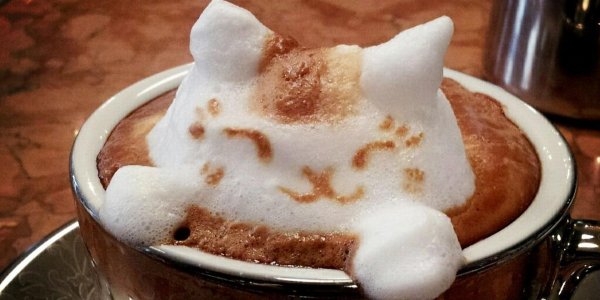 кофейная пенка