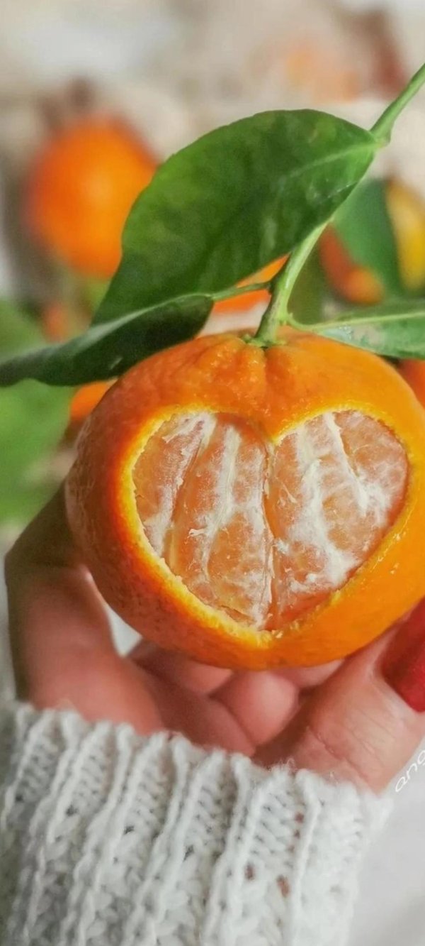 танжерин цитрусовые