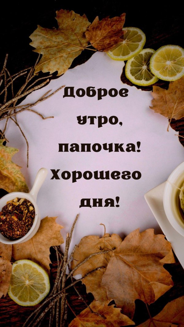 доброе утро пап