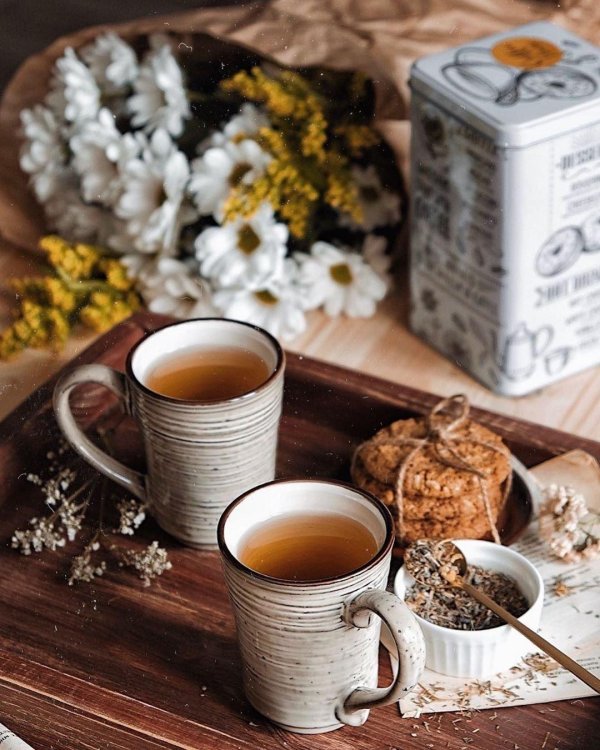 весеннее чаепитие