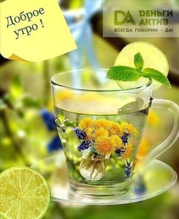 летнее утро доброе
