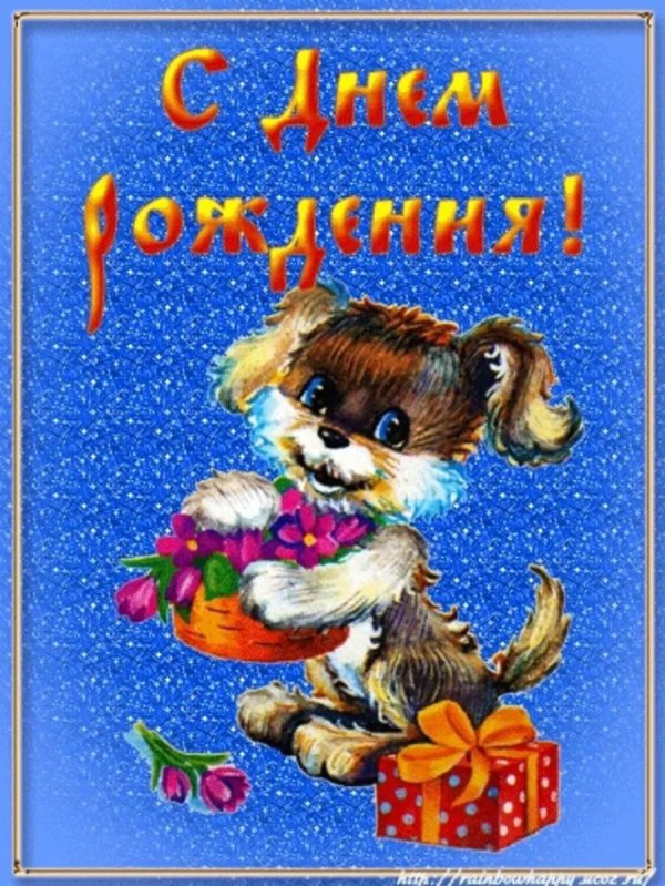 С днем рождения внука с пожеланиями