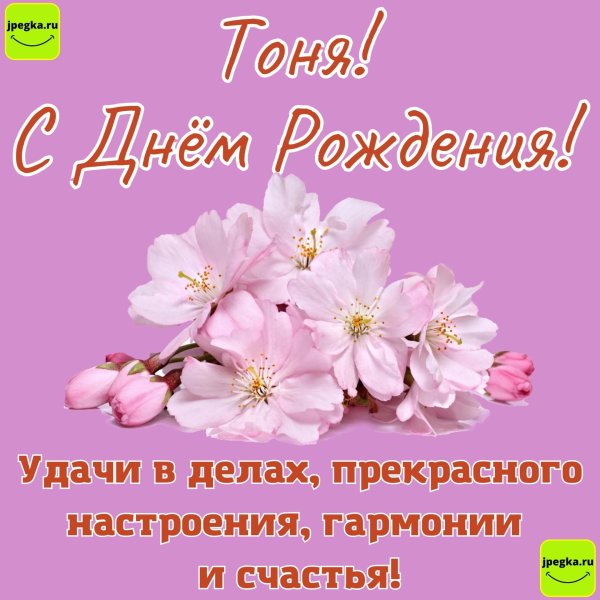с днем рождения тоня поздравления