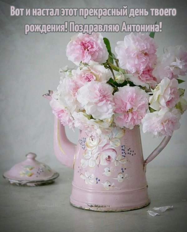 прикольные оригинальные поздравления с днем рождения антонине