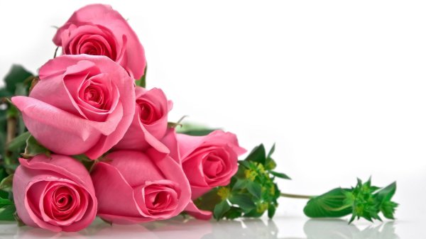 поздравительная открытка