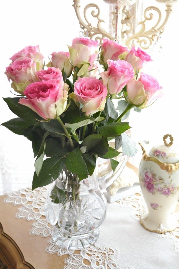 шикарные розовые розы