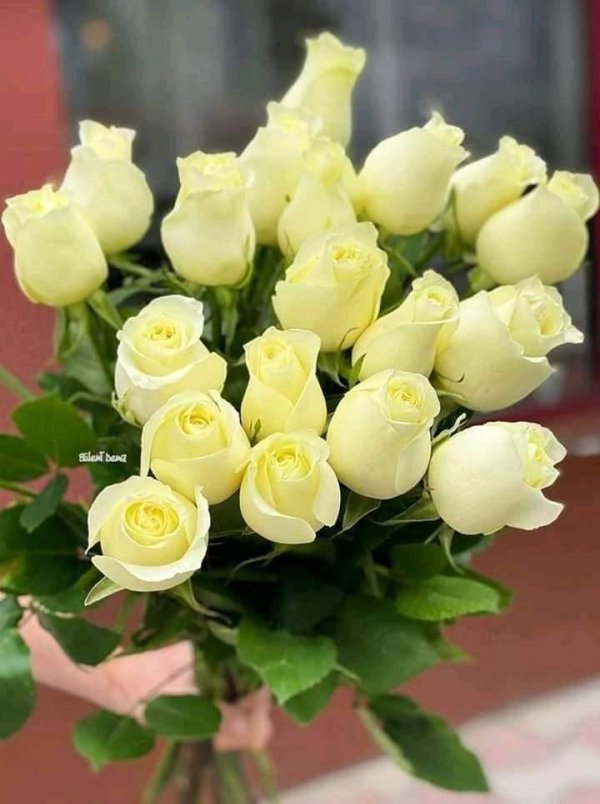 роза иванна