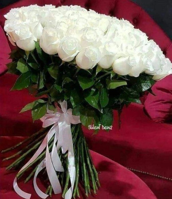 гулар харифои