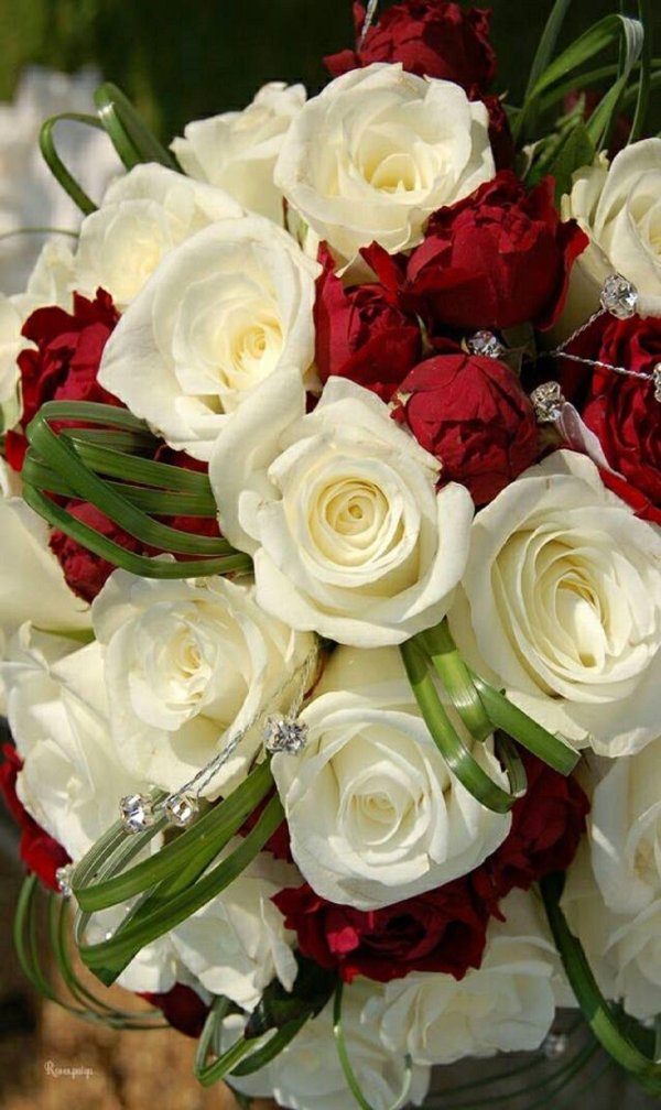 букет шикарный