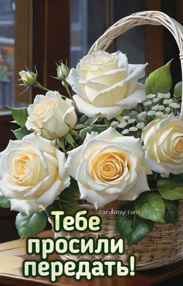 роза айопенер