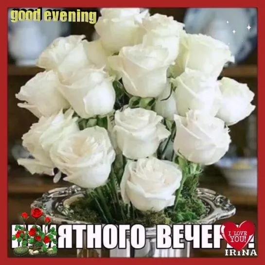 розы добрый вечер