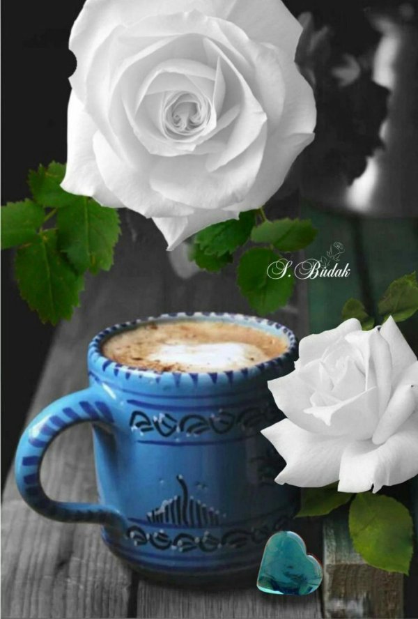 белая роза и кофе в постель