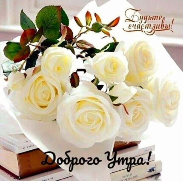 открытка с белыми розами