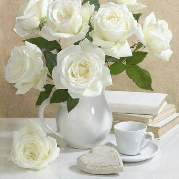 белые цветы в вазе