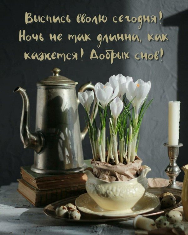 19 апреля день подснежника