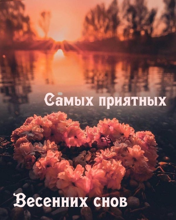 приятного сновидения