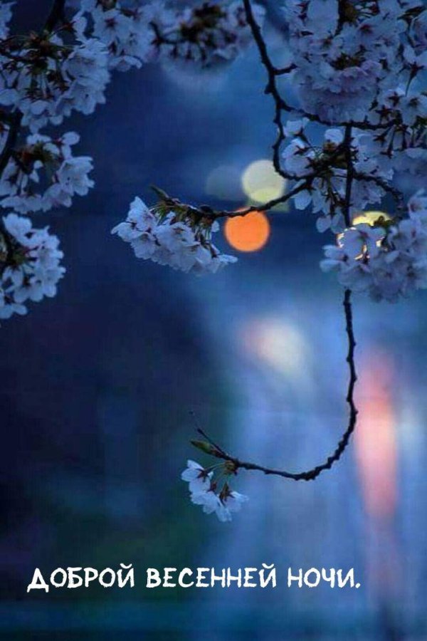 весна вечер