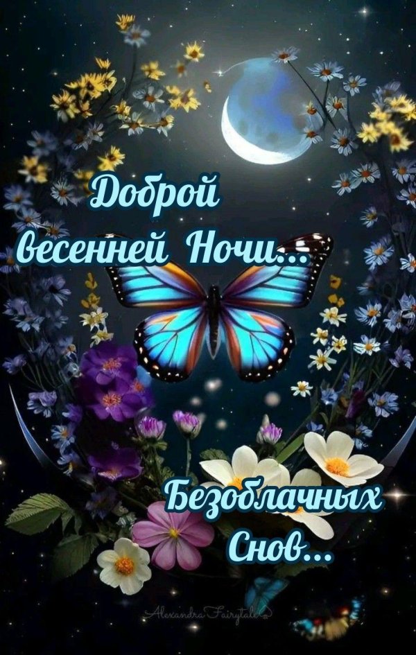 на ночь пожелания бабочка