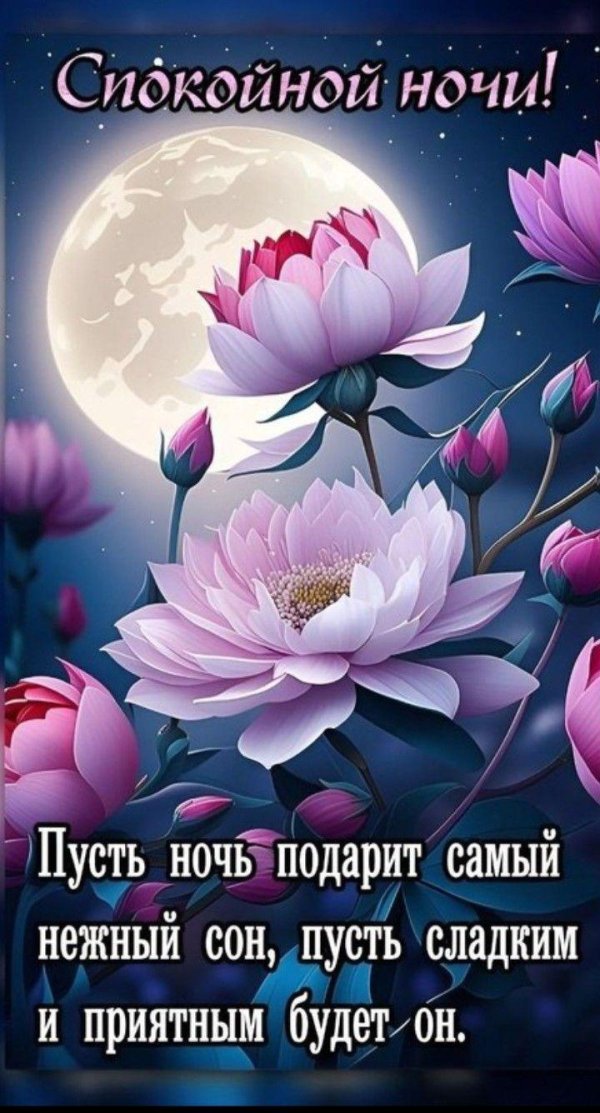 спокойной ночи открытка