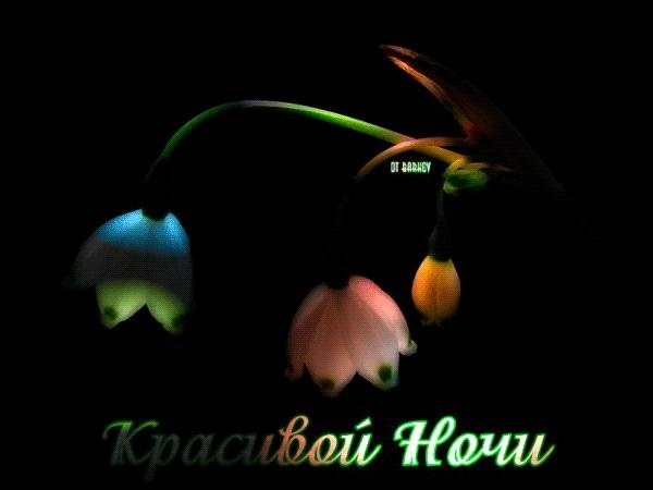 ландыши цветок