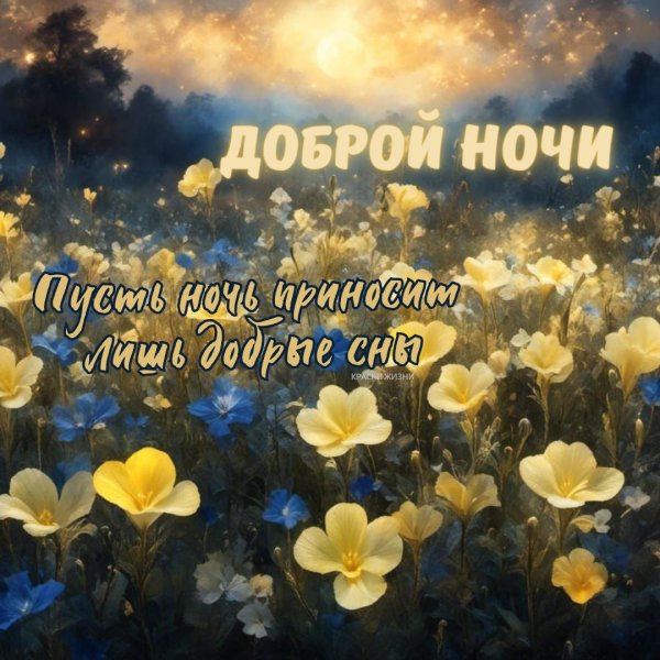 пожелания спокойной ночи